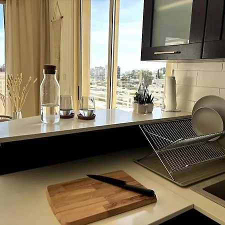 Palm View With Private Rooftop Apartament Larnaca