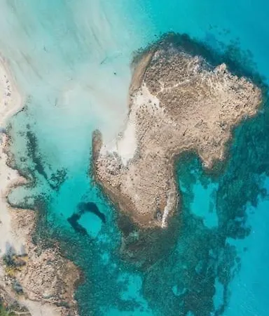 Palm View With Private Rooftop Larnaca